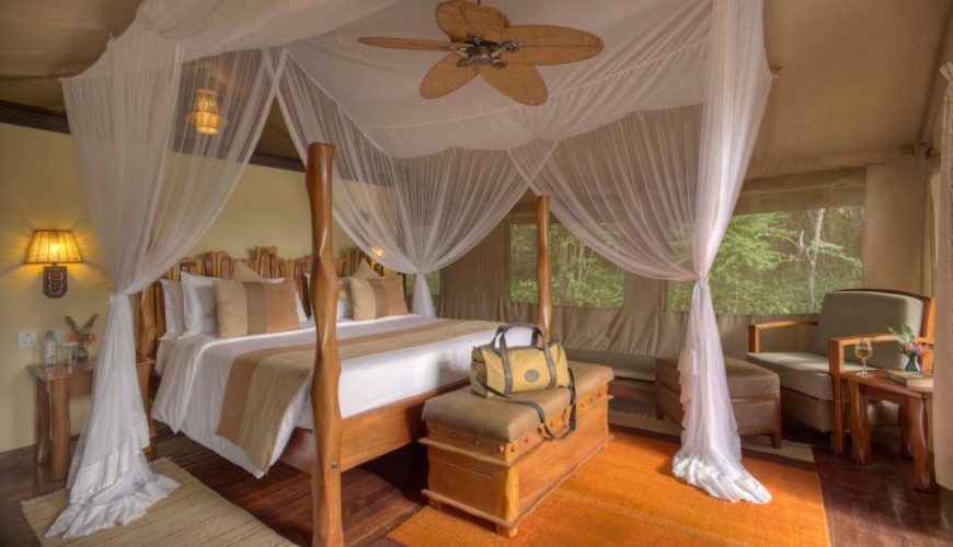 Luxury Holiday Tour Kenya