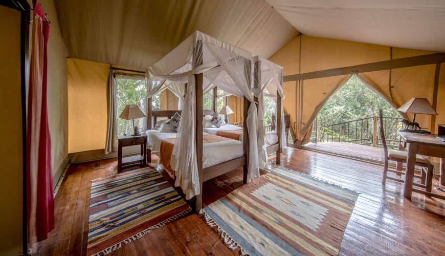 Luxury Holiday Tour Kenya