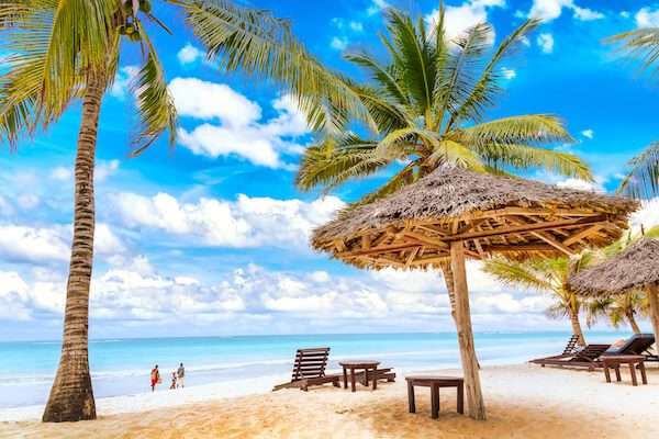 African safari and beach vacations