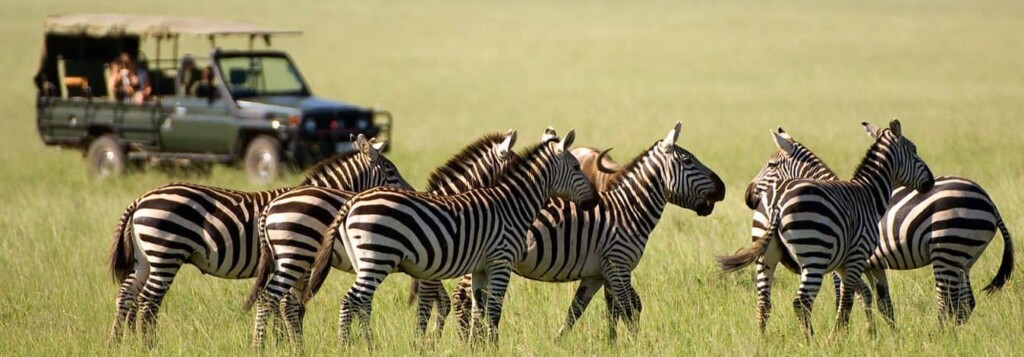 Affordable safari east Africa
