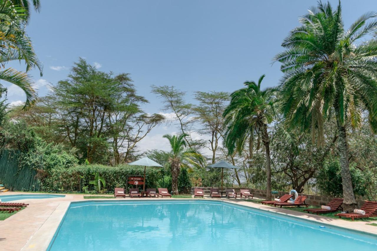 Sarova Lion hill