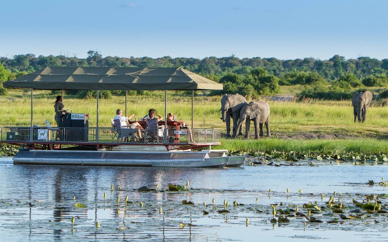 Chobe tours